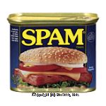 Spam  Canned Meat Center Front Picture