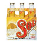Sol Mexican Beer 12 Oz Center Front Picture