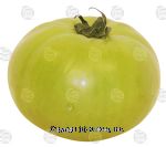 Value Center Market  green tomato, fresh whole Center Front Picture