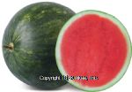 Value Center Market  mini watermelons Center Front Picture