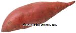 Value Center Market  yams, red Center Front Picture