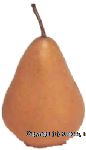 Copefrut  bosc pear per pound Center Front Picture