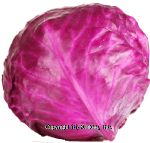 Value Center Market  red cabbage head, price per pound Center Front Picture