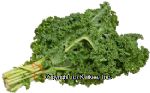 Glory  kale per pound Center Front Picture