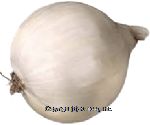 Value Center Market  white onion, whole large, price per pound Center Front Picture