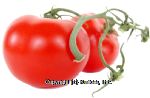 Suntastic  tomatoes on vine per pound Center Front Picture