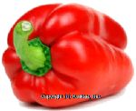 Suntastic  whole red pepper Center Front Picture