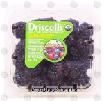 Driscoll's  organic blackberries Center Front Picture