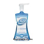 Dial Complete foaming antibacterial hand wash, spring water Center Front Picture