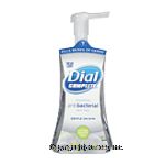 Dial Complete foaming antibacterial hand wash, soothing white tea Center Front Picture