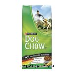 Dog Chow Dog Food Healthy Life Nutrition Center Front Picture