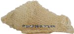 Odeco  loofa sponge, woolen mesh, product of Iraq Center Front Picture