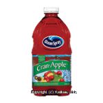 Ocean Spray Cran-apple cranberry apple juice drink, 27% fruit juice Center Front Picture