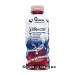 Sobe life water black and blue berry nutrient enhanced hydration beverage, antioxidants Center Front Picture