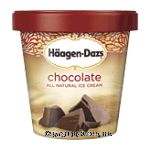 Haagen-Dazs Ice Cream Chocolate Center Front Picture