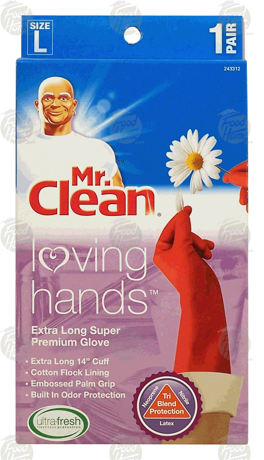 mr clean loving hands